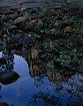 reflections_of_granite