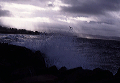 splash_with_gull