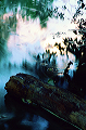 swirling_sunset