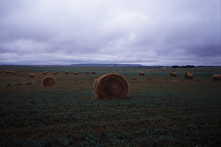 calgary_hay_bales.jpg