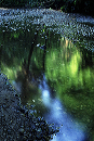 diffuse_reflection