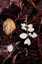 drops_and_leaves
