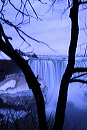 niagara_tree