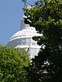 dsc00443.jpg