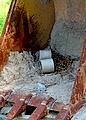 dsc00452.jpg