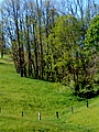 dsc00469.jpg