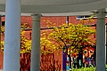dsc00487.jpg