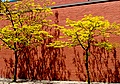dsc00488.jpg