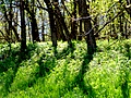 dsc00497.jpg
