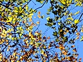 dsc00499.jpg