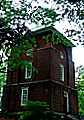 dsc00508.jpg